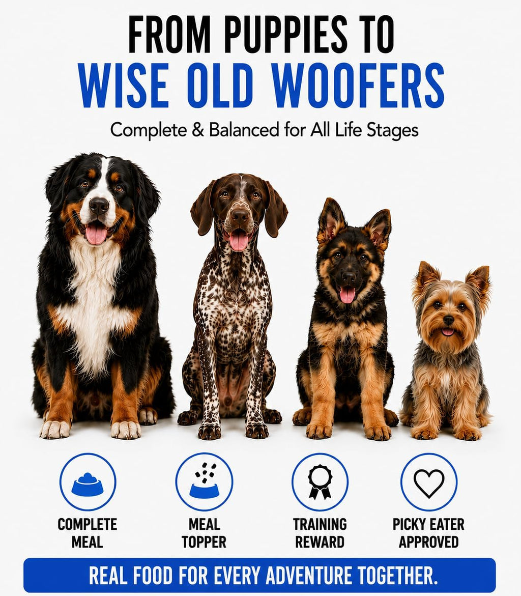 Winnie Lou The Canine Co. Air-Dried Dog Food (Bison & Lamb) | Synthetic Free, All Life Stages, Complete & Balanced