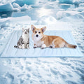 BECEMURU Dog Cooling Mat in Summer & Plush Warm Blanket in Winter, 2-Sided Reversible Dog Pad, 36"x23" Thickened Pet Bed for Crate, Kennel, Sofa - Machine Washable, Non-Gel, Durable