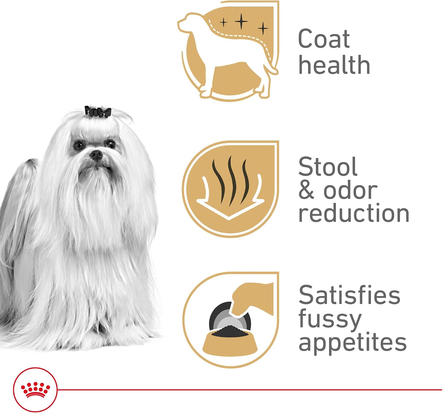 ROYAL CANIN Maltese Adult Dry Dog Food, 10 lb Bag | Coat Health with Omega Fatty Acids, Highly Digestible Proteins for Adult Malteses, Specialized Kibble for Easy Pickup