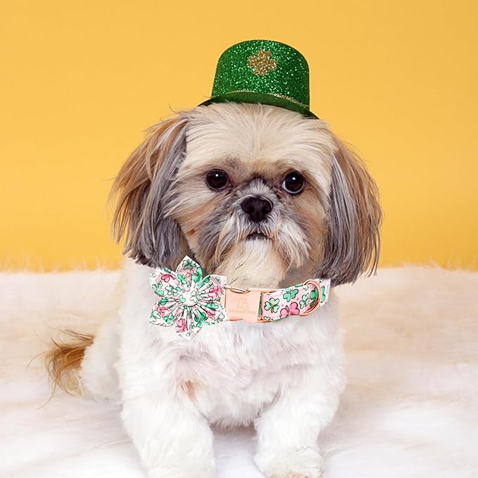 Lionheart glory St. Patrick's Day Dog Collar with Flower Dog Collars for Medium Dogs, Heavy Duty Green Collars Lucky Clover Shamrock Dogs Collar Flower Puppy