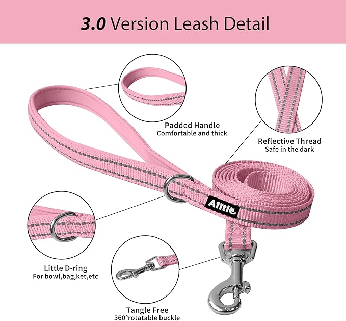 AIITLE Comfortable Dog Harness and Leash Set for Walking - Step in Vest Harness,Reflective Bands, Adjustable No Pull Puppy Essentials, for Small Dogs and House Cats Pure Pink XS