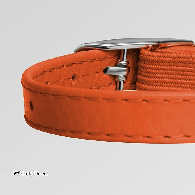 CollarDirect Leather Cat Collar, Kitten Collar with Removable Bell Black Blue Red Orange Lime Green (6-7 Inch, Orange)