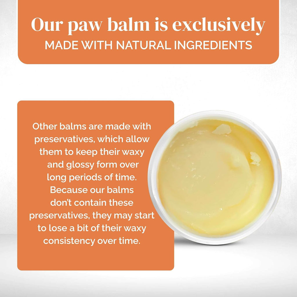 Dog Paw Balm - Paw Wax for Cracked Paws - Lick Safe - 2 oz | Lick-safe dog paw balm & wax with coconut oil, jojoba & vitamin E to soothe cracked paws & shield from hot pavement