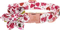 Lionheart Glory Heart Dog Collar, Valentine's Day Dogs Collar with Flower, Cute Floral Pattern Pet Collars Adjustable Dog Collars for Small Dogs