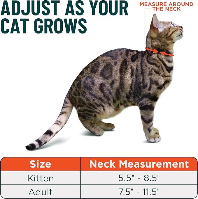 OutdoorBengal Blue Cat Collar Breakaway with Soft Padding for Medium to Large Cats - Durable Heavy Duty Tactical Fabric, Comfortable, Quick Release Breakaway Cat Collars, No Bell Collar (Blue, Adult)