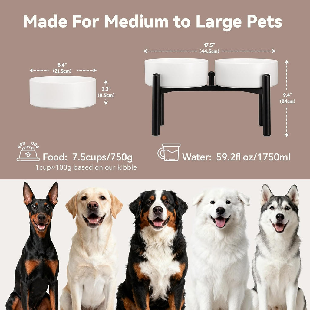 Raised Ceramic Dog Bowl Set with Stand, 7.5 Cups Elevated Dog Food Stand | 8.4'' Double Dog Food and Water Bowl Set, Non-Slip Dog Feeding Dishes for Small Breeds and Cats, 59.2 OZ, White