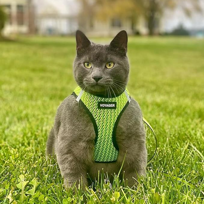 Best Pet Supplies Voyager Step-in Air Harness - All Weather Mesh, Reflective, No Pull Harness for Dogs, Cats - Secure with Hook & Loop Fastener, Buckle, Double D-Rings - Lime Green 2-Tone, XS