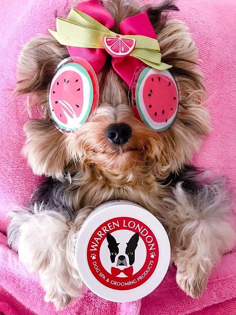 Warren London Hydrating Butter Balm for Dogs – Unscented – Deep Moisture Paw & Nose Cream for Dry, Cracked Pads & Snouts – Lick-Safe, Non-Greasy – Ideal for Frenchies & All Breeds – Made in USA – 4oz