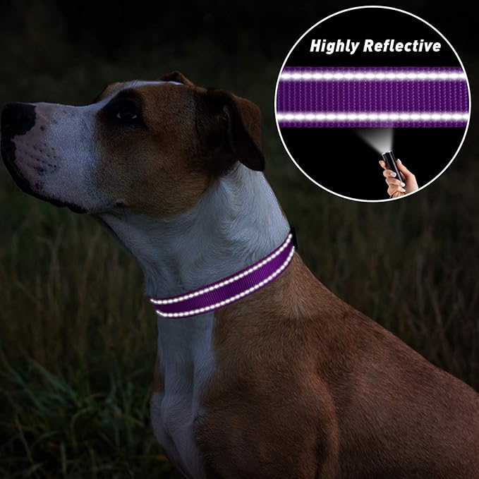 TagME Reflective Nylon Dog Collars, Adjustable Classic Pet Collar with Quick Release Buckle for Small Dogs, Purple, 5/8" Width