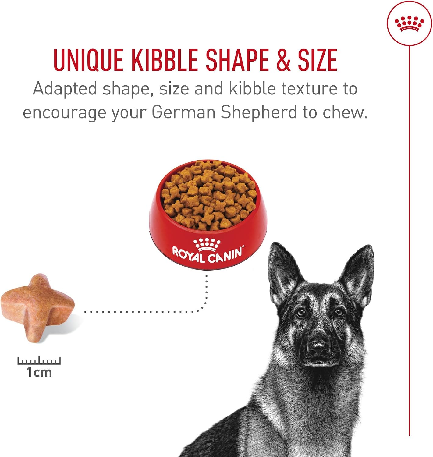 ROYAL CANIN German Shepherd Adult Dry Dog Food, 5 lb Bag | Digestive Health, Skin Health, Bone & Joint Support, For Adult German Shepherds 15+ Months, Specialized Kibble