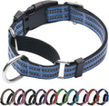 Martingale Dog Collar, Adjustable Nylon Reflective Collar with Quick Release Buckle (Grey Blue, Large)