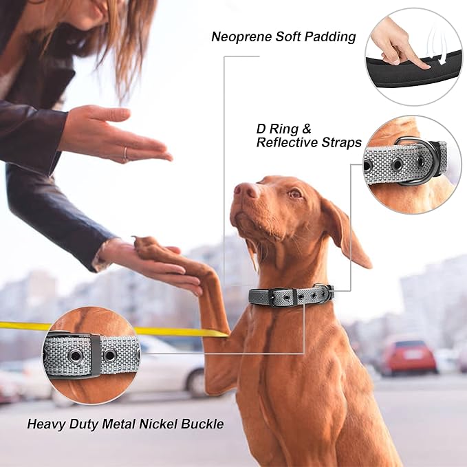 PetiFine Dog Collars for Small Dogs, Neoprene Padded Dog Collar, Reflective Heavy Duty Pet Collars with Durable Metal Belt Buckle for Walking, Grey, S