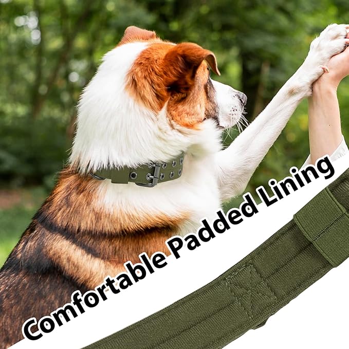 Tactical Dog Collar with Handle, Military Adjustable Heavy Duty Metal Buckle Dog Collars Soft Nylon Training Collar for Medium Large Dogs (Green, Medium)