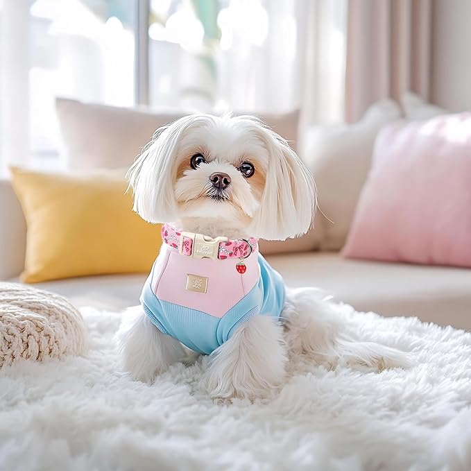 Strawberry Bow Dog Collar for Puppy Small Dogs - Cute Pink Spring/Summer Girl Dog Collars, Lightweight Adjustable Female Girly Dogs Collars with Quick Release Buckle XS