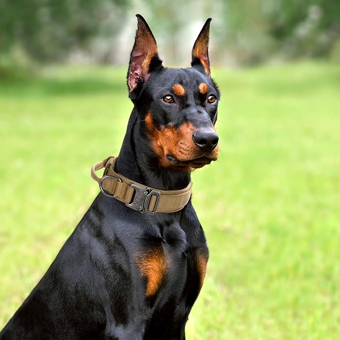 Tactical Dog Collar Set, Adjustable Military Training Nylon Dog Collar with Control Handle and Heavy Quick-Release Metal Buckle for Small Medium Large Dogs, Brown Set XL