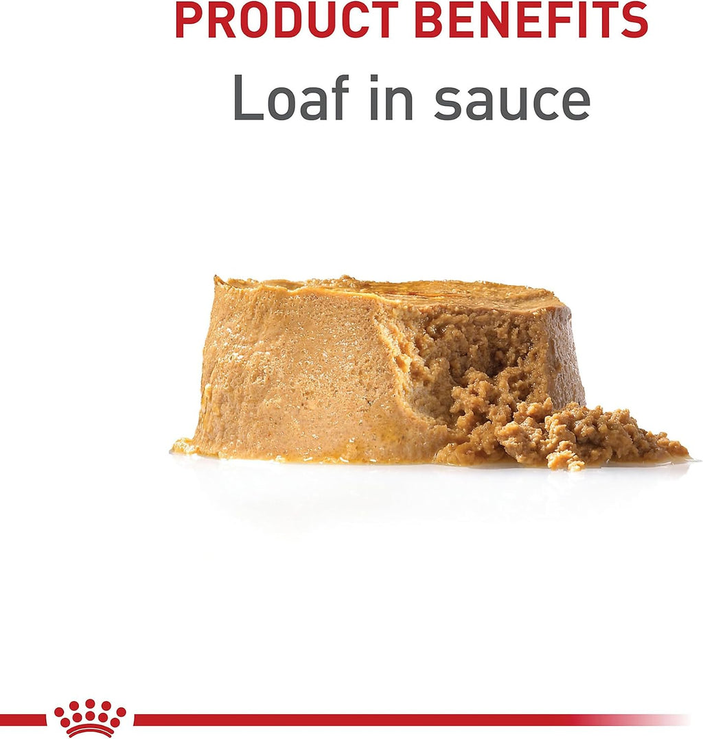 ROYAL CANIN Canine Health Nutrition Puppy Loaf in Sauce Dog Food, 5.2 oz (Pack of 12)