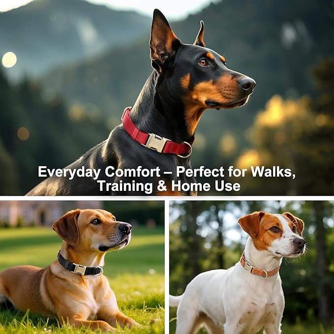 Plutus Pet Genuine Leather Dog Collar – Adjustable Pet Collar with Quick Release Metal Buckle, Soft Real Leather for Small Medium Large Dogs, Heavy Duty & Skin-Friendly (Ash Brown, S)