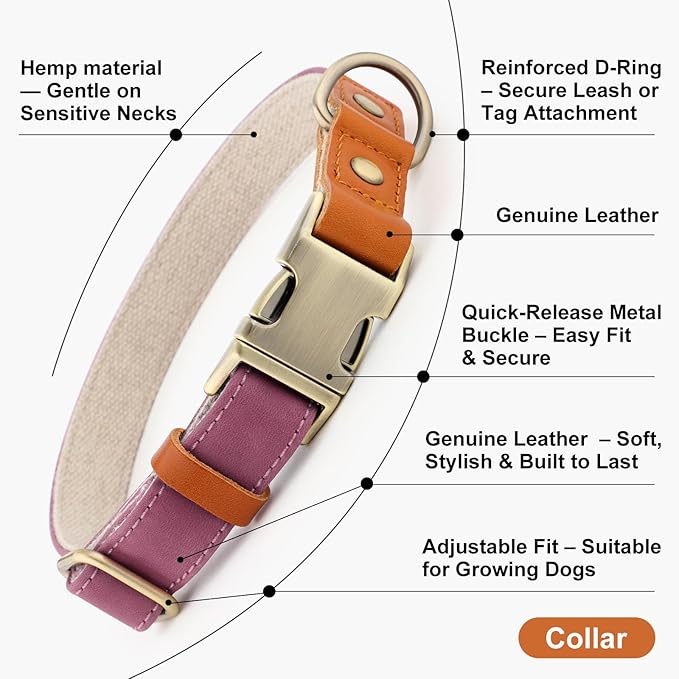 Plutus Pet Genuine Leather & Hemp Dog Collar – Adjustable Heavy Duty Pet Collar with Quick Release Metal Buckle, Soft & Stylish for Puppy and Small, Medium, Large Dogs (Purple, L)