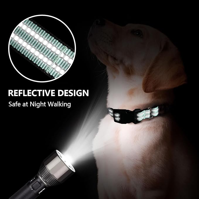 Martingale Dog Collar, Adjustable Nylon Reflective Collar with Quick Release Buckle (Apple Green, Small)