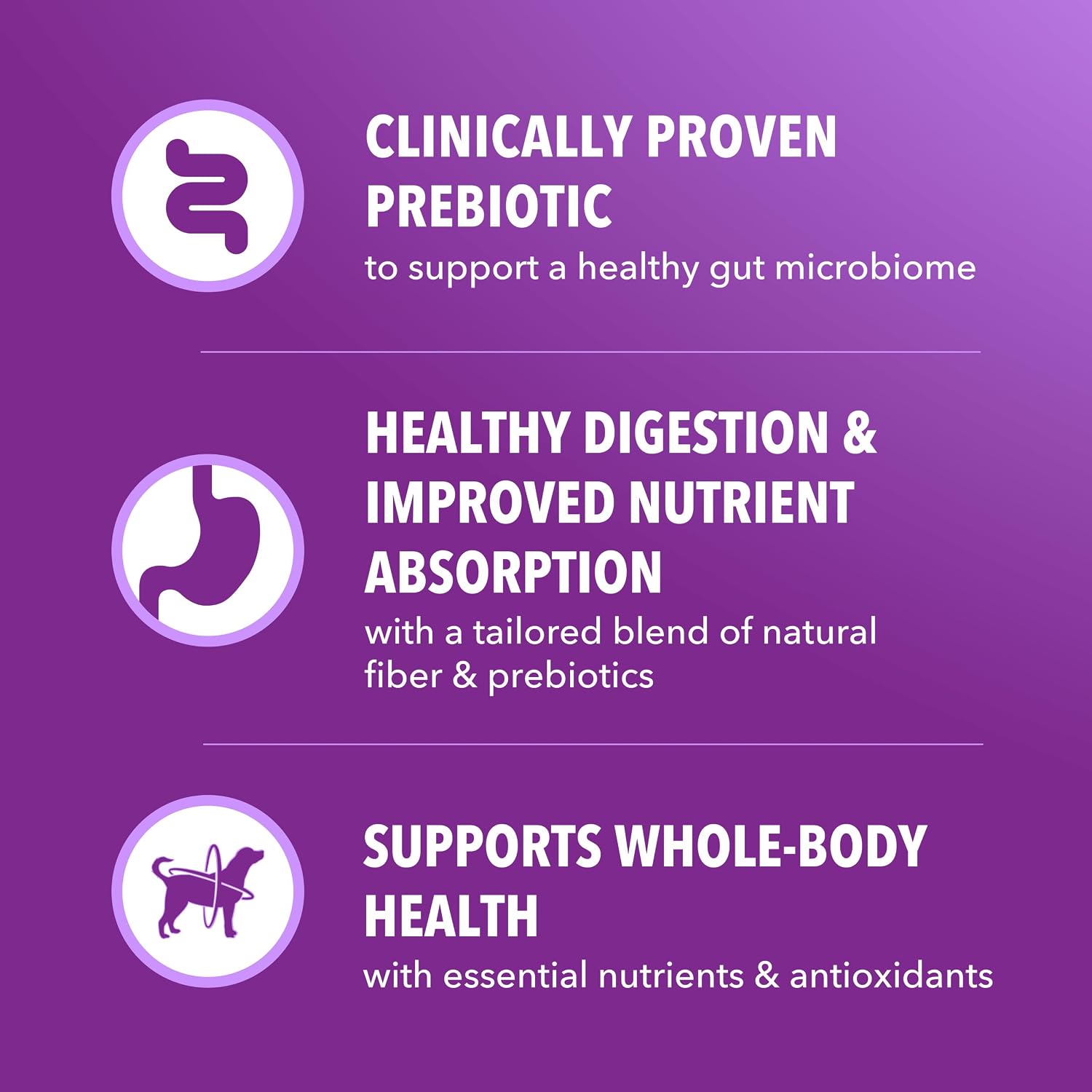 IAMS Advanced Health Healthy Digestion Dry Dog Food, Chicken, 13.5 lb | Real farm-raised chicken #1 ingredient, 0% fillers, natural fiber & prebiotics, supports digestive health