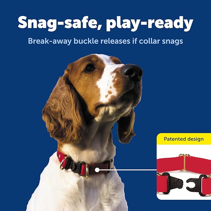 PetSafe KeepSafe Collar for Dogs - Protects Against Collar Accidents - Long Lasting - Durable - Adjustable - Breakaway - Outdoor-Safe - Small - 3/4 In. Wide - Red