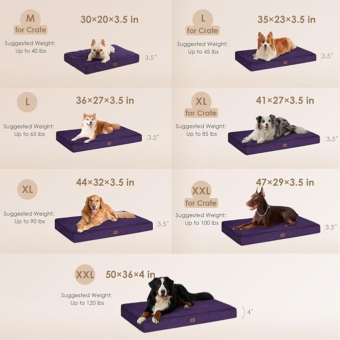 EHEYCIGA Orthopedic Medium Dog Beds for Small Dogs with Removable Washable Cover for Crate, Purple, 30x20