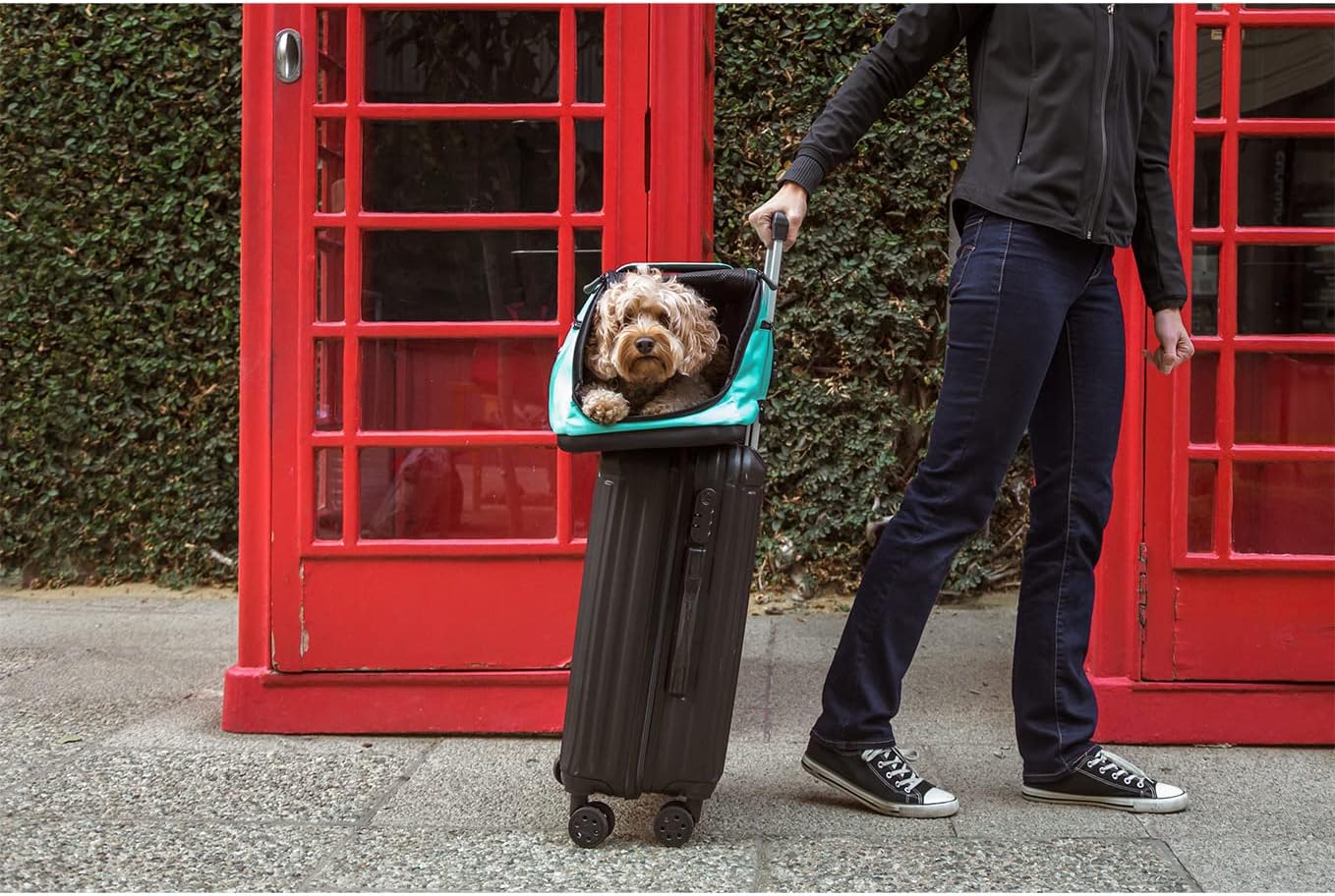 Sleepypod Air - Airline Approved Carrier for Cats and Dogs (Charcoal Grey)
