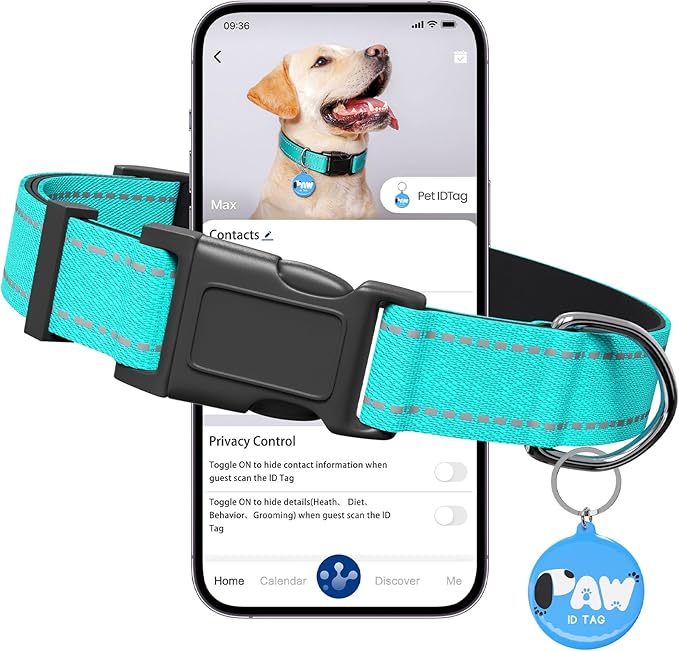 Reflective Dog Collar for Extra Small Dogs with Dog Tags Personalized & Quick Release Buckle, Adjustable and Comfortable Nylon Pet Collar, Mint Green