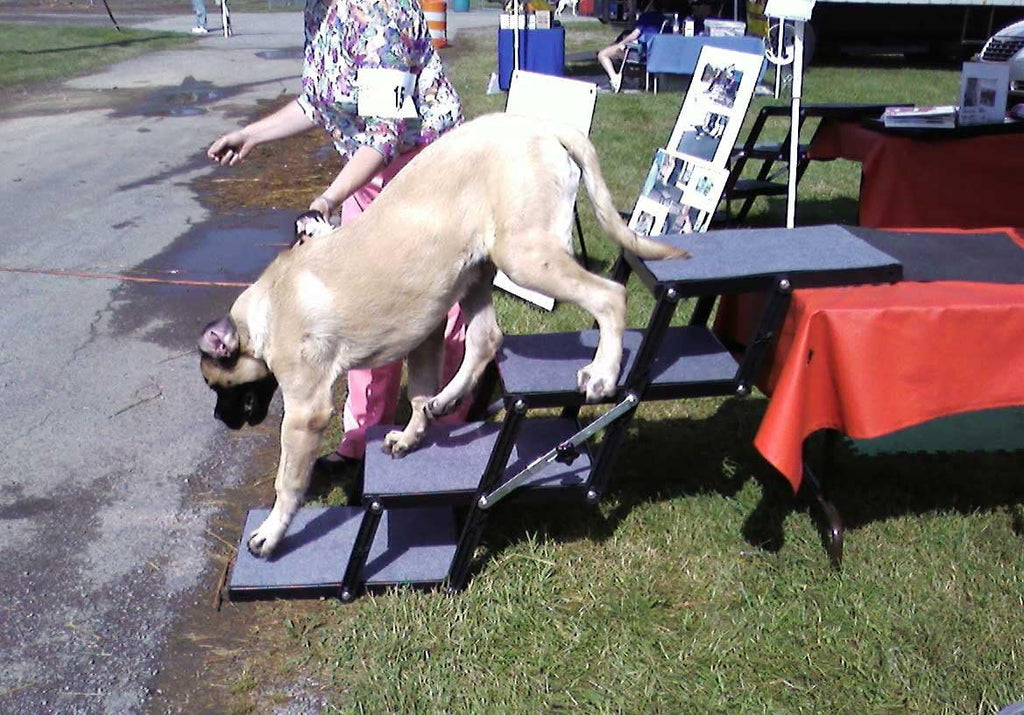 Pet Loader® XL 18" Platform, 4 Step. Folding USA Carpeted Dog Stairs. add or Remove Steps as Your Needs Change. Scroll Down to See video's Safely Carries 300 Pound Pets