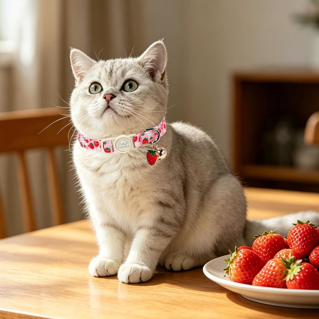 ·MR. CHUBBYFACE· 2 Pack Spring Summer Cat Collar, Cotton Breakaway Cat Collar with Bell, Strawberry&Floral Pendent, Adjustable Durable Pet Collar for Female Male Cat