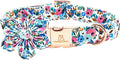Lionheart Glory Floral Dog Collar with Flowers - Soft, Durable & Adjustable for Small Dogs