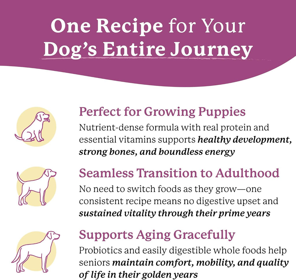 Dr. Harvey's Every Dog Health, Meal with Dehydrated Beef (5 lb) | Complete & Balanced - Organic Whole Grains, Vegetables & Probiotics - Makes 20 Lb of Food
