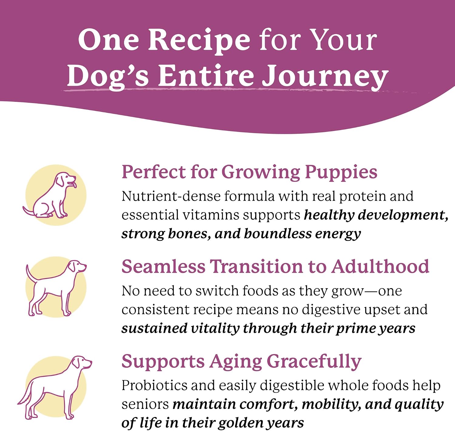 Dr. Harvey's Every Dog Health, Meal with Dehydrated Beef (5 lb) | Complete & Balanced - Organic Whole Grains, Vegetables & Probiotics - Makes 20 Lb of Food