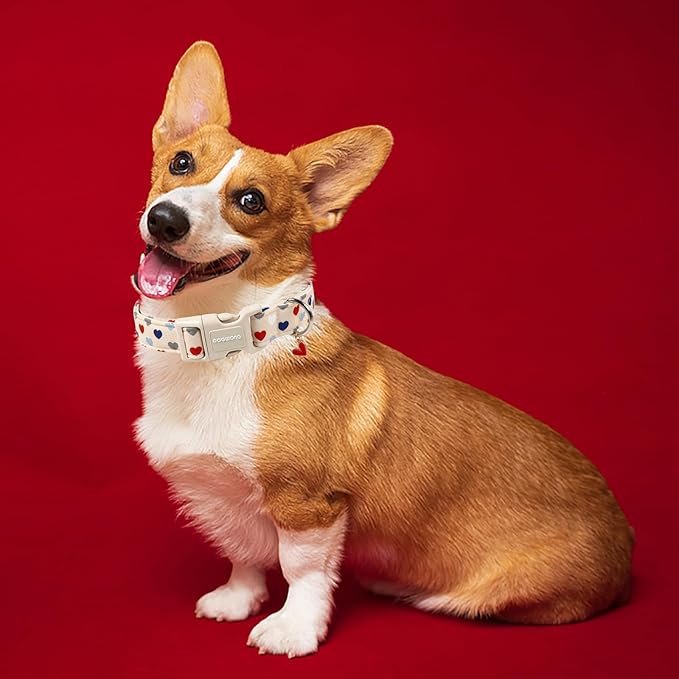 DOGWONG Valentine's Dog Collar-Hearts Print Dog Collar for Large Cute Dog Collars Spring Female Male Pet Gift Adjustable Heavy-Duty Soft Collar，M