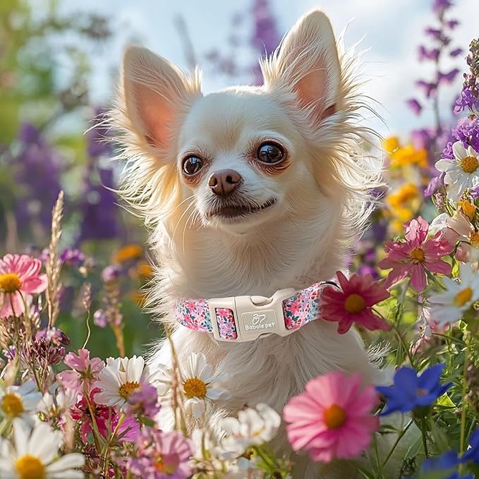Floral Dog Collar, Cute Girl Dog Collars - Pastel Wildflowers Pattern Spring Summer Puppy Collar, Adjustable Female Dog Collars for Small Medium Large Dogs S