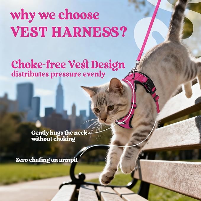 rabbitgoo Cat Harness and Leash for Walking, Escape Proof Soft Adjustable Vest Harnesses for Cats, Easy Control Breathable Reflective Strips Jacket, Rose Red, XXS