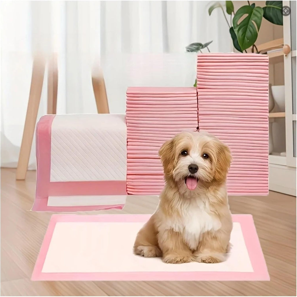 Dog Pee Pads Triple Thickness Super Absorbent Leak-Proof Odor Control | Upgrade triple-layer design for max absorbency, leak-proof, quick-dry, and odor control for dogs, cats, rabbits(10PCS)