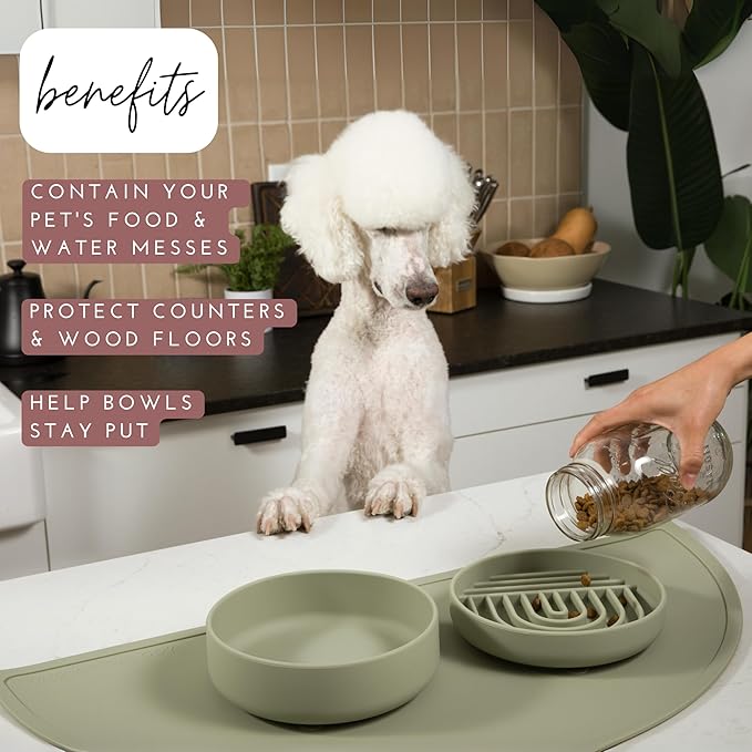 Should We Go - Waterproof Silicone Pet Food Mat - Non-Slip Spill-Proof Feeding Mat for Floors, Raised Edge Design Easy-to-Clean Rubber Pad for Dog & Cat Bowls, 28" Across x 14" Deep, Large-Terracotta