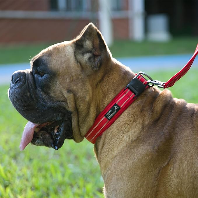 EXCELLENT ELITE SPANKER Reflective Dog Collar Classic Soft Padded Breathable Nylon Adjustable Pet Collar with Quick Release Buckle for Boy Girl Male Female Small Medium Large Dogs Training(Red-M)