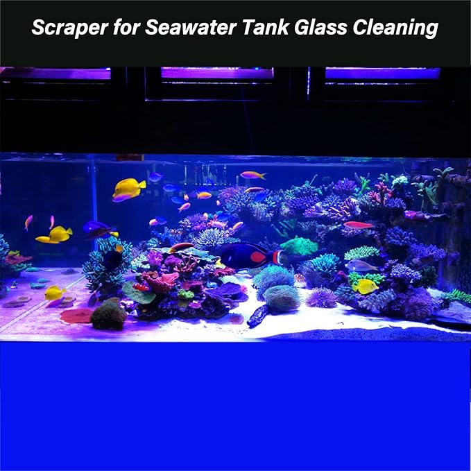 Algae Scraper for Glass Aquarium, Long Handle Fish Tank Algae Scraper with 10 Blades, Essential Aquarium Cleaning Tool.