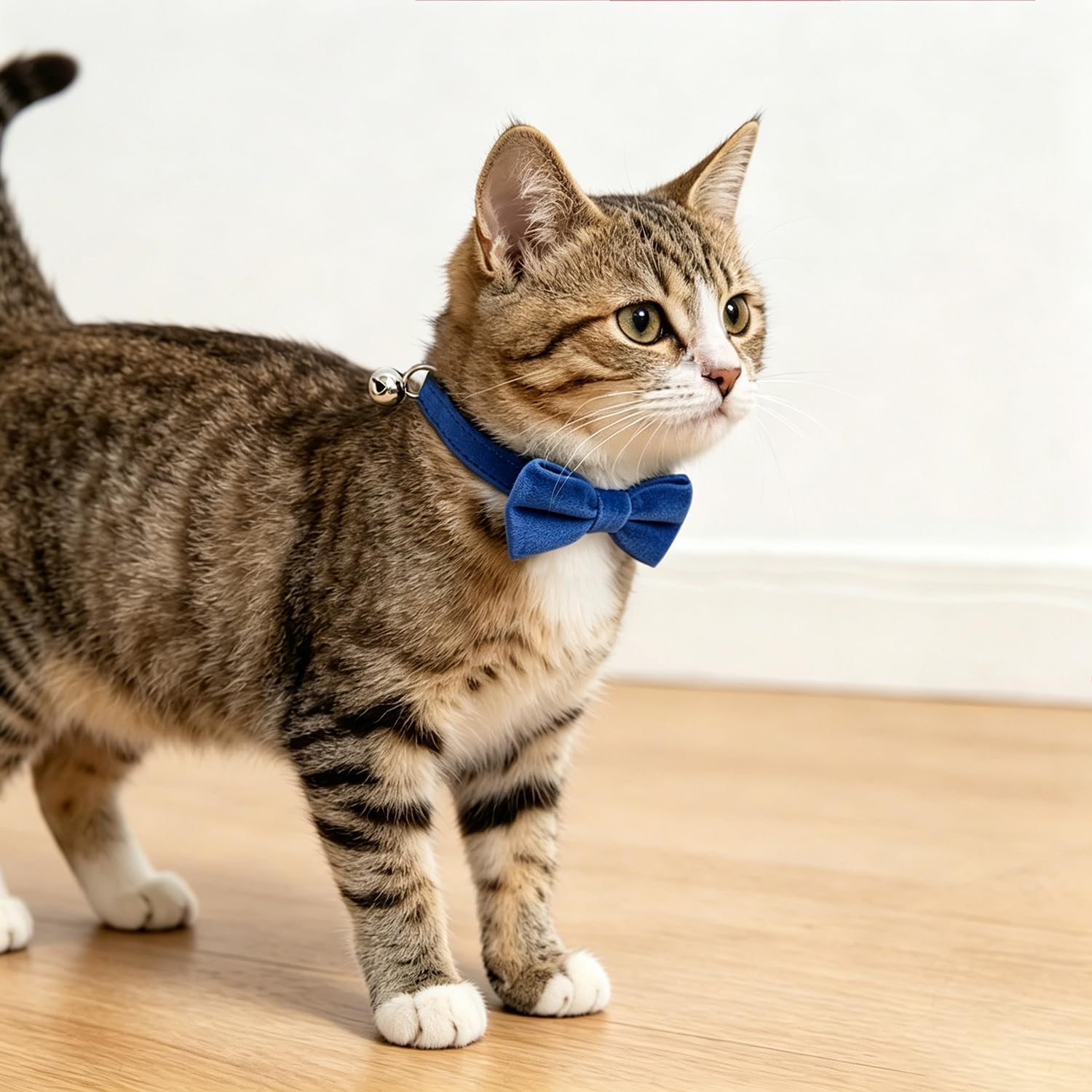 Cat Collar Breakaway with Bell and Removable Bow Tie Safety Buckle Velvet Adjustable 7-11 inches for Kitten Cats (Royal Blue)