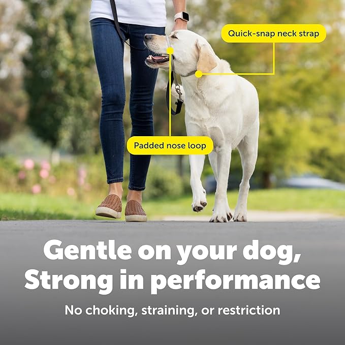 PetSafe Gentle Leader Headcollar No-Pull Dog Collar - Helps Improve Walks - Durable Nylon Construction - Padded Nose Loop - Adjustable Fit - Comfort Walking Halter - Large, Red