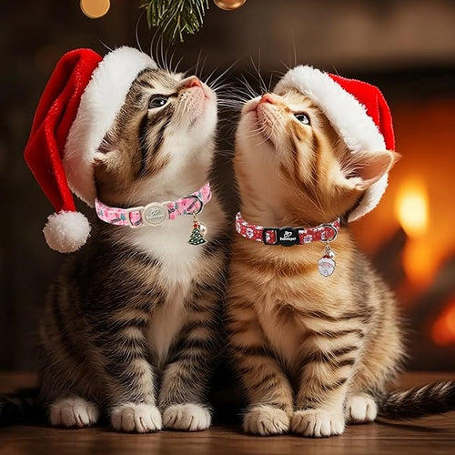 2 Pack Christmas Cat Collars - Breakaway Cat Collar with Bell, Christmas Tree and Reindeer Pendant, Winter Adjustable Kitten Collars for Girl Boy Cats, Pink Santa &Fair Isle