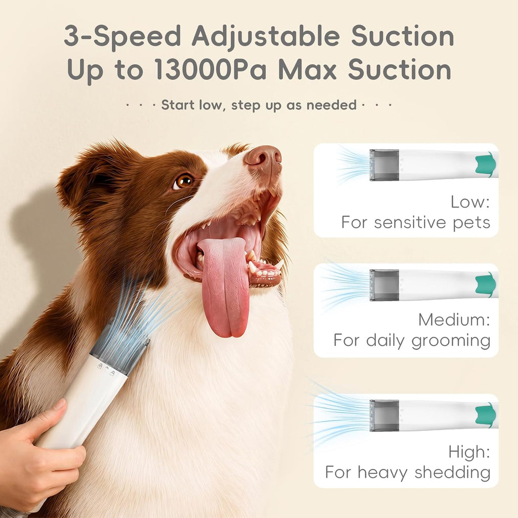 2026 Upgraded Dog Grooming Vacuum Kit with Nail Clipper & Dematting Comb, 13000Pa Pet Vacuum for Shedding, 9-in-1 Dog Hair Vacuum, 1L Dust Cup, Quiet Grooming Kit for All Dog Breeds & Cats
