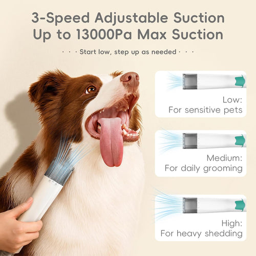 2026 Upgraded Dog Grooming Vacuum Kit with Nail Clipper & Dematting Comb, 13000Pa Pet Vacuum for Shedding, 9-in-1 Dog Hair Vacuum, 1L Dust Cup, Quiet Grooming Kit for All Dog Breeds & Cats