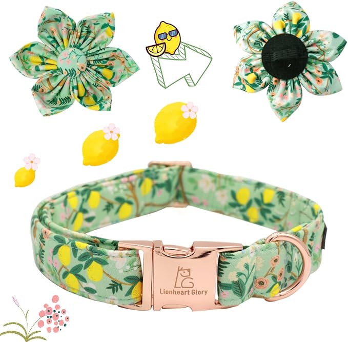 Lionheart Glory Cute Lemon Floral Pattern Adjustable Dog Collar for X-Large Dogs