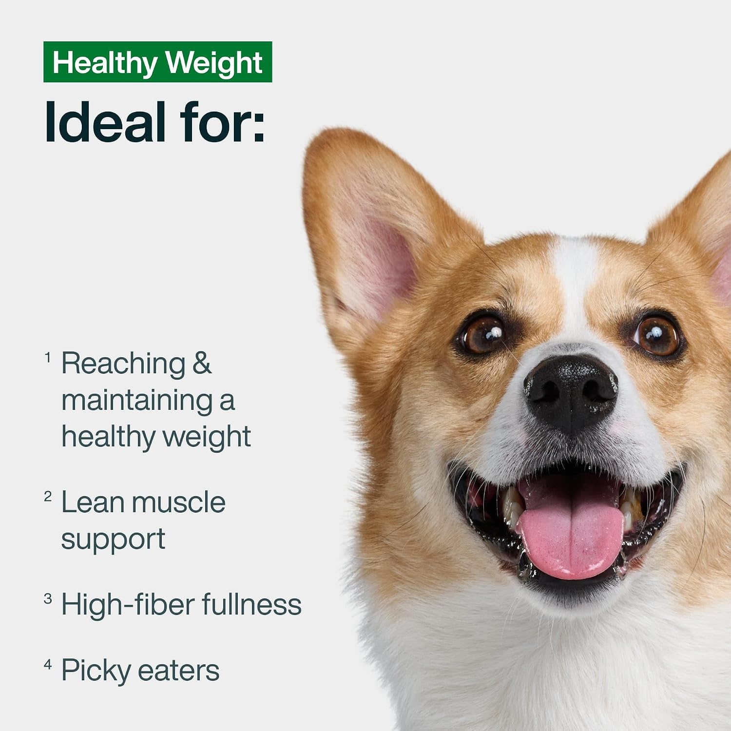 JustFoodForDogs Fresh Frozen Healthy Weight Dog Food, Topper - Pork, 21 Pk | Fresh Pet Meals for Dog Weight Control & Weight Management, Human Grade, Vet Recommended, High Fiber, Lean Pork, 18 Oz Pouch