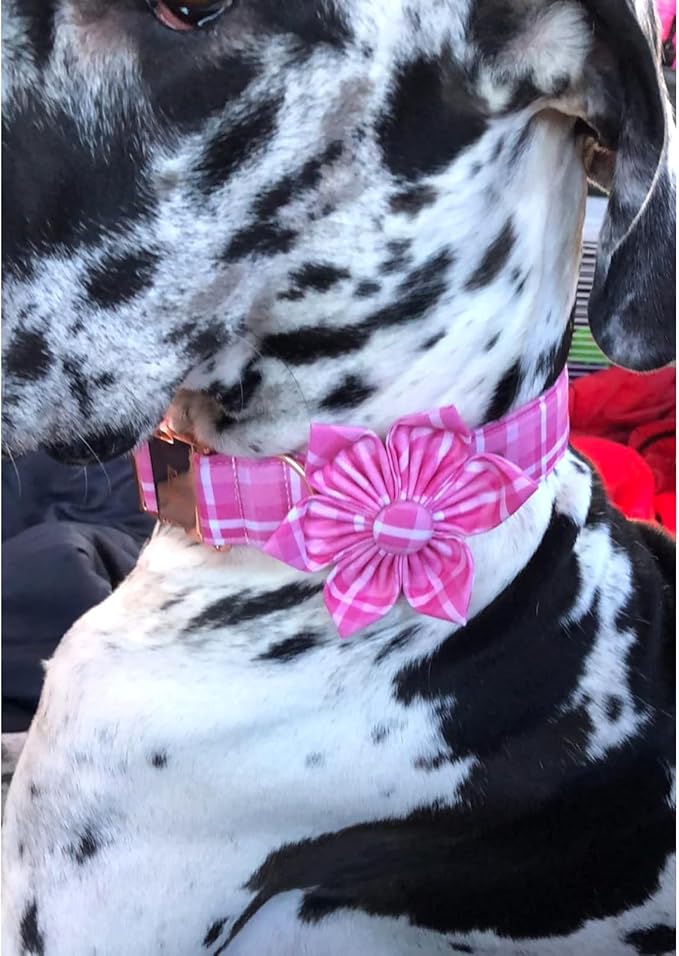 Lionheart Glory Dog Collar, Pink Dog Collars with Flower, Cute Floral Pattern Pet Collars Adjustable Dog Collar for Large Dogs