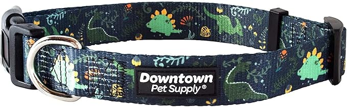 Downtown Pet Supply - Best & Fancy Adjustable Dog Collar with Quick Buckle & D-Ring - Hand Wash Safe - Dino - M - Medium