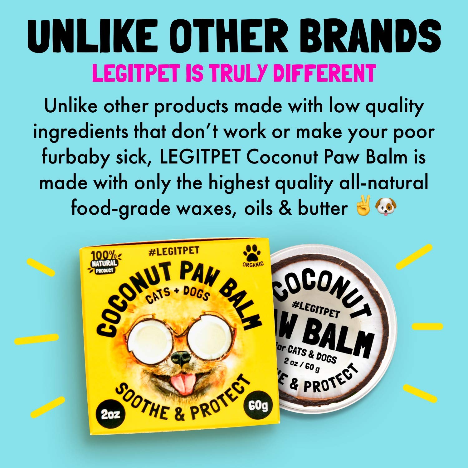 Coconut Paw Balm for Dogs by legitpet